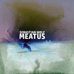 Sebastian Wolf - Meatus
