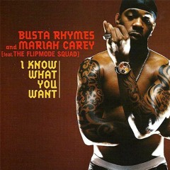 Busta Rhymes (featuring. Mariah Carey) - I Know What You Want (Instrumental)
