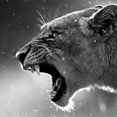 i Got a good felling!!