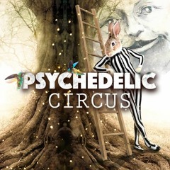 Hasche - Liveset @ Psychedelic Circus Festival 2016