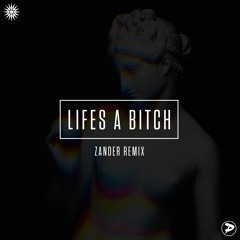 Nas - Life's A Bitch (Zander Remix) [FREE DOWNLOAD]