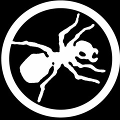 The Prodigy - Their Law (remix)