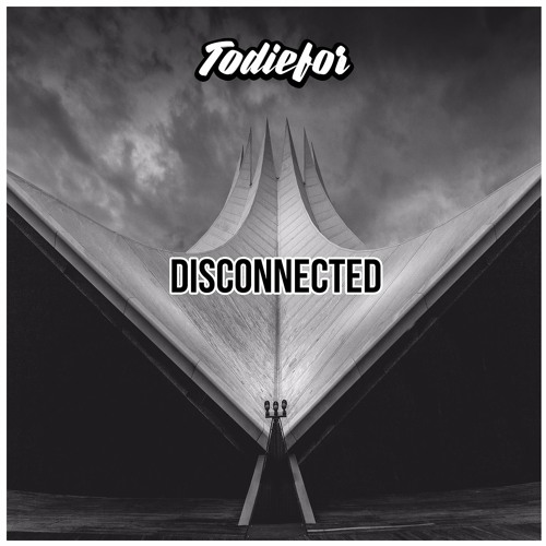 TODIEFOR & INSIDIA - Zebra