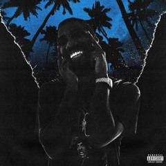 Reese LAFLARE - Party Song Feat. Playboi Carti