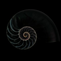 The War on Drugs [FREE FOR EVERYONE FUCKING USE IT]