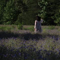 . vincent van gogh .