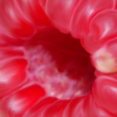 Raspberry