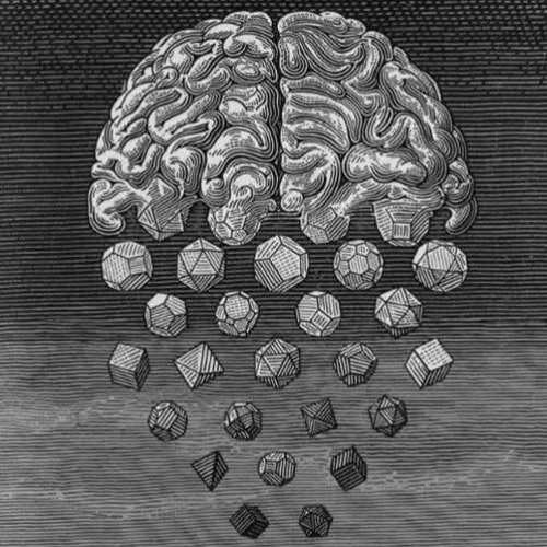Cortex