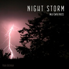 Night Storm Sample