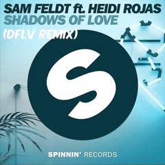 Sam Feldt ft Heidi Rojas - Shadow Of Love (DFLV Remix)