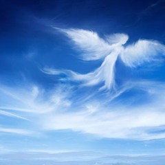 Fänger (85 BPM)[6000 Instagram Abonnenten Exklusiv] | Prod. by Kiarash-Beats