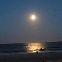 Under the Moon