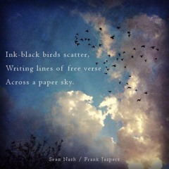 Ink Black Birds In a Paper White Sky (NaviarHaiku127)