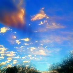 Apples and Oranges (Pink Floyd cover)