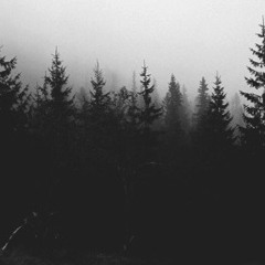 Echoes