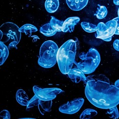 Dj Custic May 2016 NuDicso