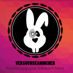 Versuchskaninchen (Big Room Remix)