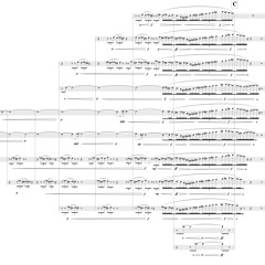 Mirrored Images Of Starlings In Flight