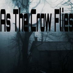 Dont Stop Trying ( acoustic demo)