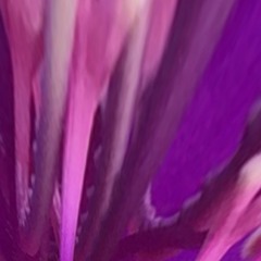 Subfilter Sun Jan 31 2016 Subeatz On Jungletrain.net