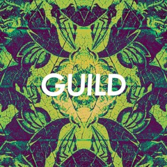 am. x pidgeonroyal - decay