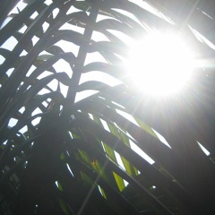 PICTURE PERFECT [BNC F]