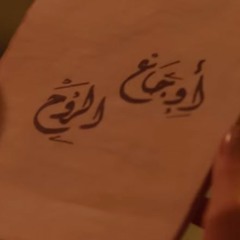 ريهام عبد الحكيم - تتر مسلسل هى ودافنشي2016