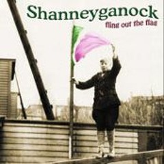 The Islander - Shanneyganock