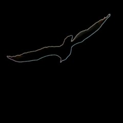 Gas Station Attack [from The Birds]