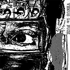 Venus in Fuzz - Guerra Fria