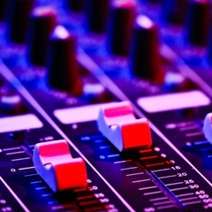 Palm Beach Anthem (561)