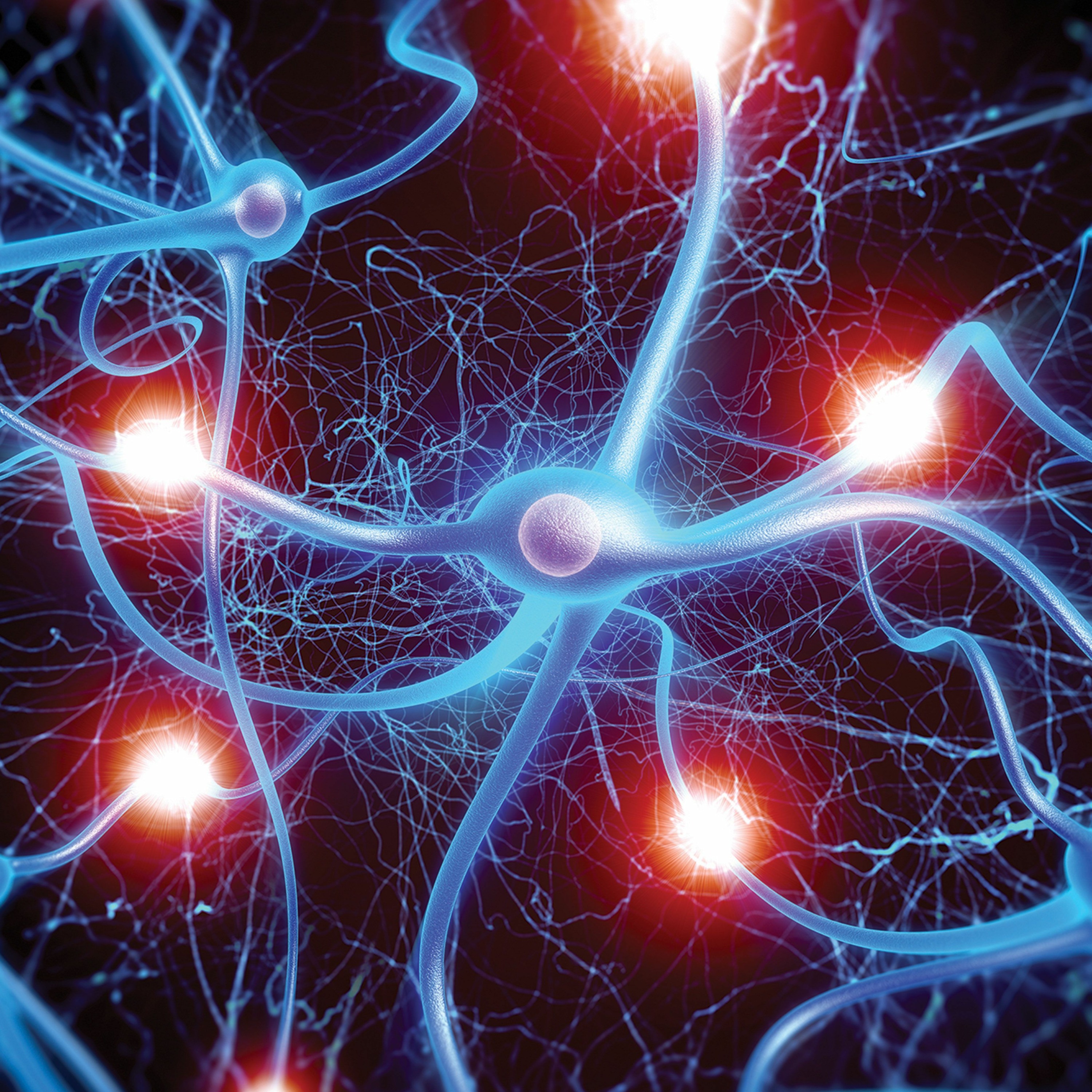 cover of episode Neuroplasticity: the science behind rewiring the brain
