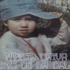 Texidó - Todo Bien (Media Shiva 2016)