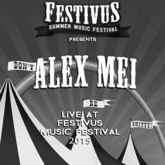 Agent of Awesometown (Festivus Music Festival 2015 - Live Set)
