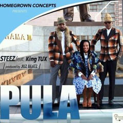 Pula - Steez Ft King Tux