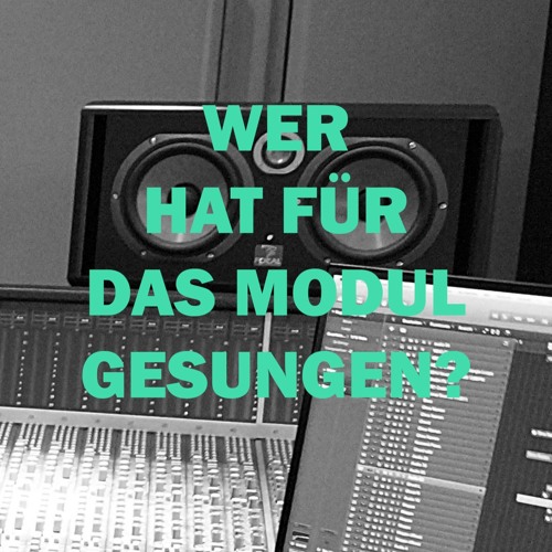 Wer hat für Das Modul gesungen?