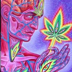 Terence McKenna On Cannabis (Hemp, Weed, Hash, Edibles, Gras, Ott, BHO)