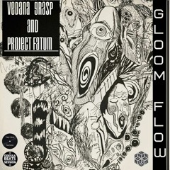 Vedana Grasp And Project Fatum - NightTime (Radio - Edit)