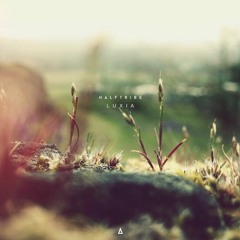 Must hear trax (curated playlist)