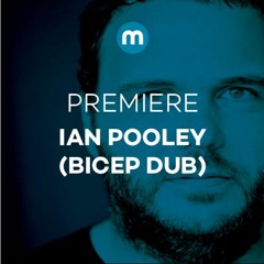 Premiere: Ian Pooley 'Cold Wait' (Bicep Dub)