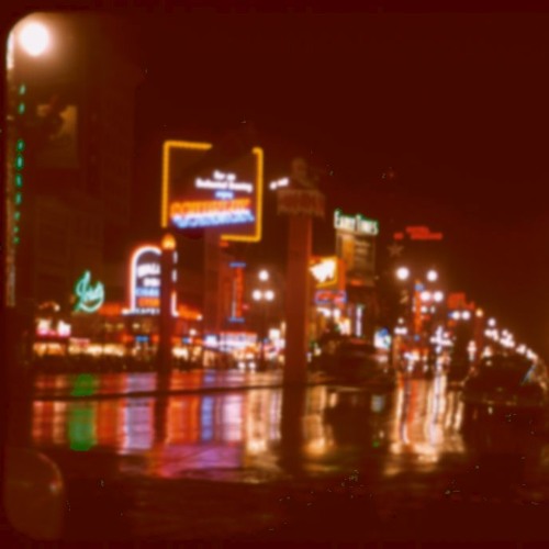 Pink Flamingo - Night Jam