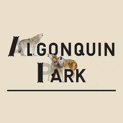 Territoire n°3 : Algonquin Park