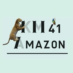 Territoire n°1 : KM41 Amazon