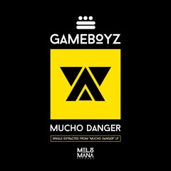 PRÈMIÉRE: Gameboyz - 17H [Melómana]