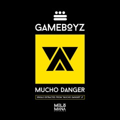 PRÈMIÉRE: Gameboyz - 17H [Melómana]