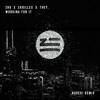 Download Video: ZHU X Skrillex X THEY. - Working For It (Naderi Remix)