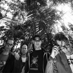 DUBBLESTANDART | On the Way to Ozora | 04/06/2016