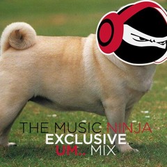 The Music Ninja Residency Mix 004: um..