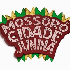 CHAMADÃO MOSSORÓ CIDADE JUNINA - 95 FM-