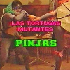 Tortugas Mutantes Pinjas cover